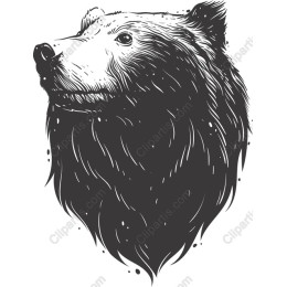 Majestic Bear Head