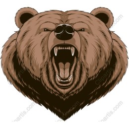 Fierce Bear Head