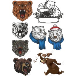 Bear Bundle - 8 Unique