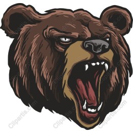 Roaring Bear