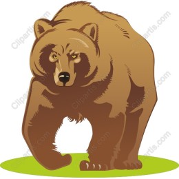 Majestic Bear