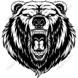 Roaring Bear
