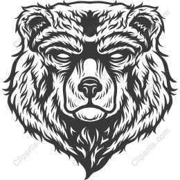 Intricate Bear Face