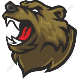 Fierce Bear Head