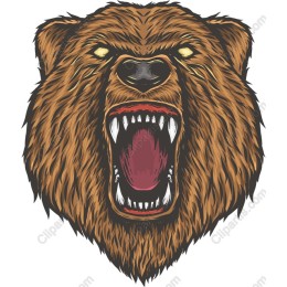 Fierce Roaring Bear