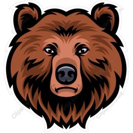 Grizzly Bear
