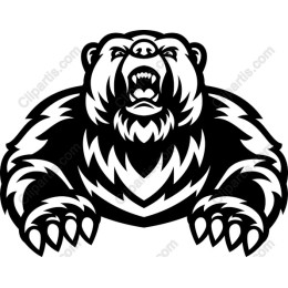 Fierce Bear