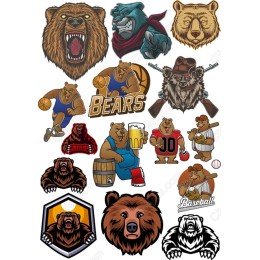 Bear Essentials Set