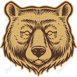 Bear Head