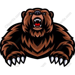 Fierce Bear -/