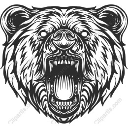 Roaring Bear