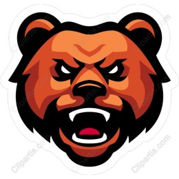 Angry Bear
