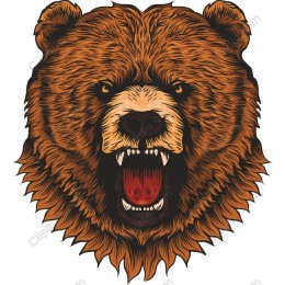 Fierce Bear Head