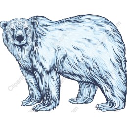 Majestic Polar Bear