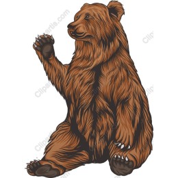 Friendly Bear
