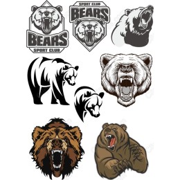 Bears Sport Club Bundle