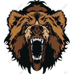 Fierce Roaring Bear