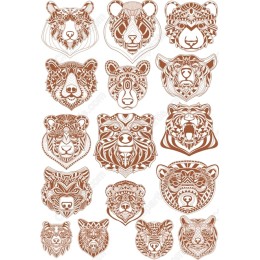 Bear Illusions Set