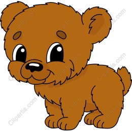 Cute Brown Bear Cub