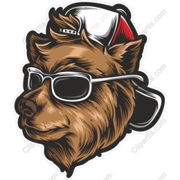 Cool Bear in Sunglasses