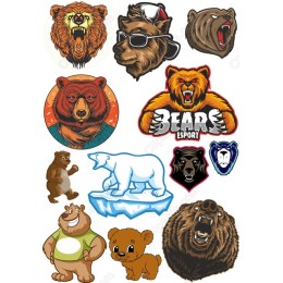 Bear Set: Fierce and Adorable