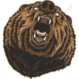 Roaring Bear