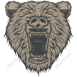 Grizzly Bear