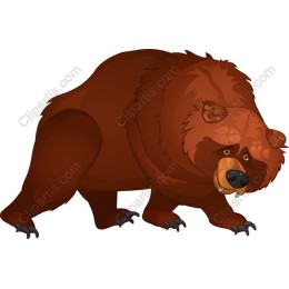 Majestic Brown Bear