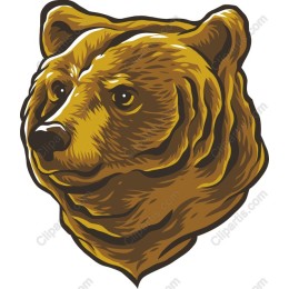 Majestic Bear Head