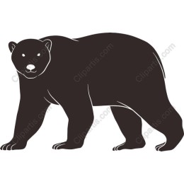 Majestic Bear