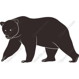 Grizzly Bear