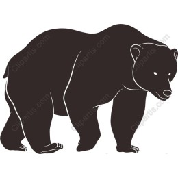 Majestic Bear