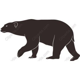 Polar Bear