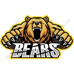 Fierce Bear