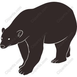 Elegant Bear