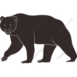 Bear - Walking Bear in and