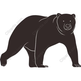 Majestic Bear
