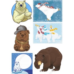 Adorable Bear Set - Bundle