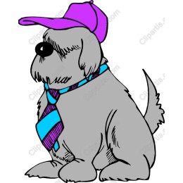 Stylish Dog in Cap