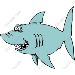 Cartoon Shark