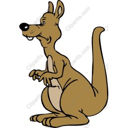 Playful Kangaroo