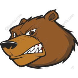 Angry Bear Head