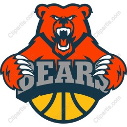 Fierce Bear Basketball Logo