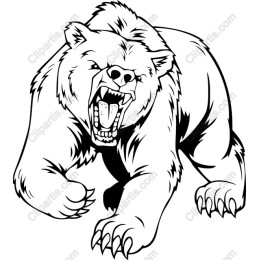 Fierce Bear