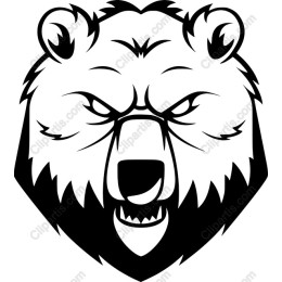 Fierce Bear Head
