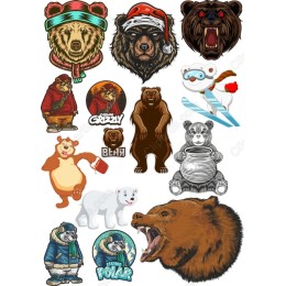 Bear-Themed Set: 16 Unique