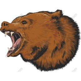Roaring Bear Head