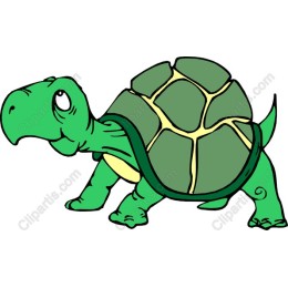 Charming Cartoon Turtle