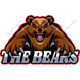 Fierce Bear