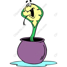 Quirky Plant Character